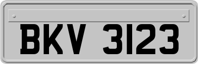 BKV3123