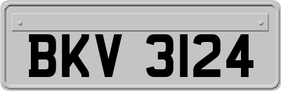 BKV3124