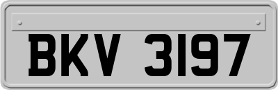 BKV3197