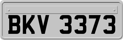 BKV3373
