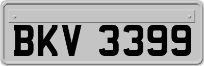 BKV3399