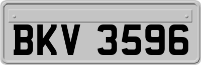 BKV3596