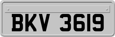 BKV3619