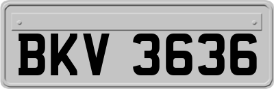 BKV3636