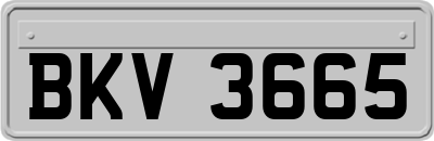BKV3665