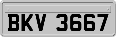 BKV3667