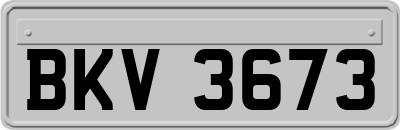 BKV3673