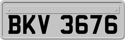 BKV3676