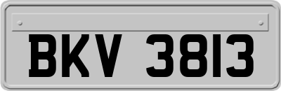 BKV3813