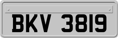 BKV3819