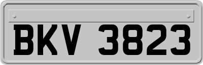 BKV3823