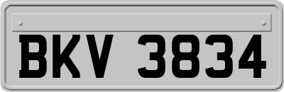 BKV3834