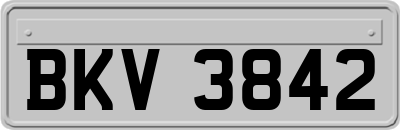 BKV3842