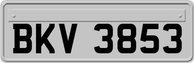BKV3853