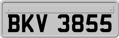 BKV3855