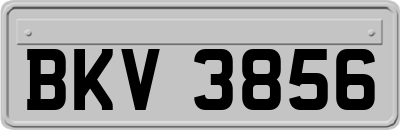 BKV3856