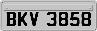 BKV3858