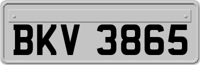 BKV3865