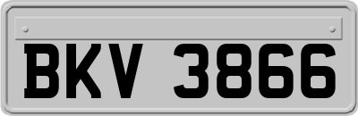 BKV3866