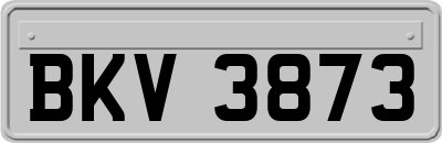 BKV3873
