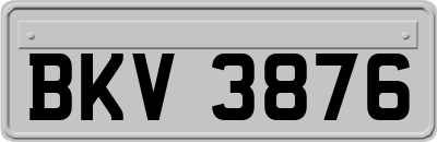 BKV3876