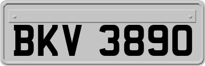 BKV3890
