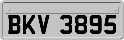 BKV3895