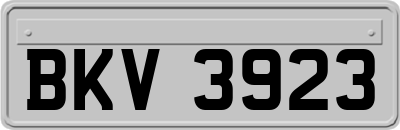 BKV3923
