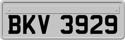 BKV3929