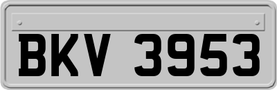 BKV3953
