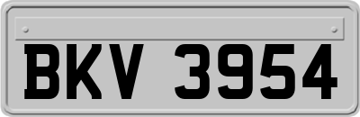 BKV3954