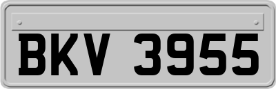 BKV3955