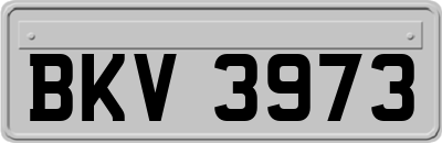 BKV3973