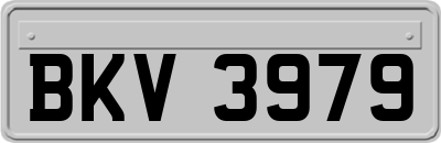 BKV3979