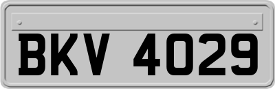 BKV4029