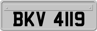 BKV4119