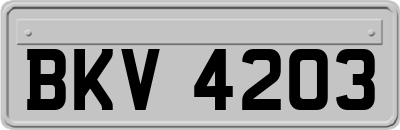 BKV4203