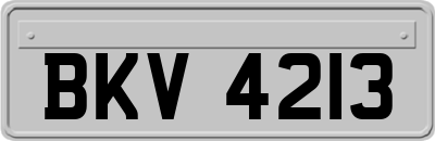 BKV4213