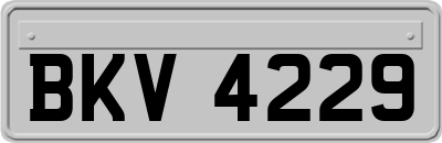 BKV4229