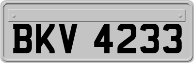 BKV4233
