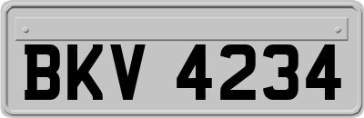 BKV4234