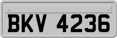 BKV4236