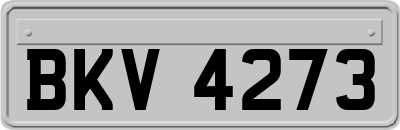 BKV4273