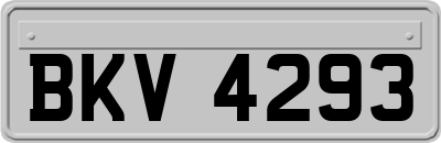BKV4293