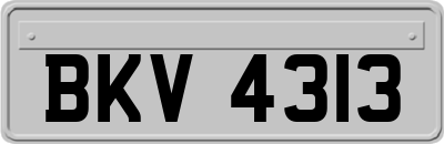 BKV4313