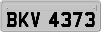 BKV4373