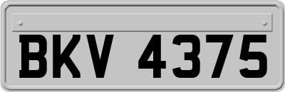 BKV4375