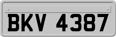BKV4387