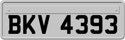 BKV4393