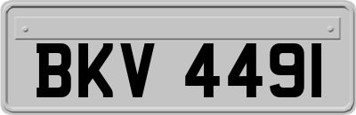 BKV4491